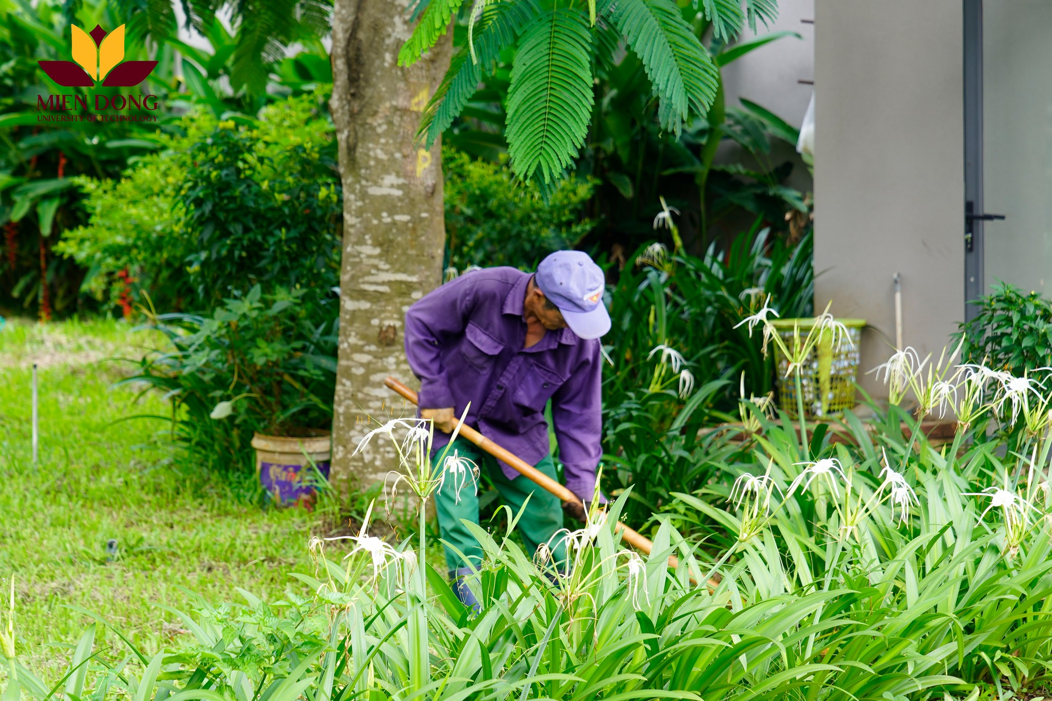 Hệ sinh thái MIT Uni. thay đổi diện mạo