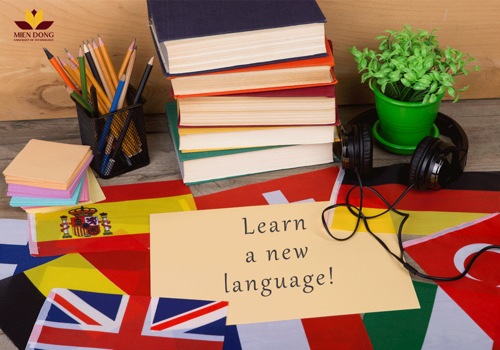 Có nên học Ngôn Ngữ Anh không?