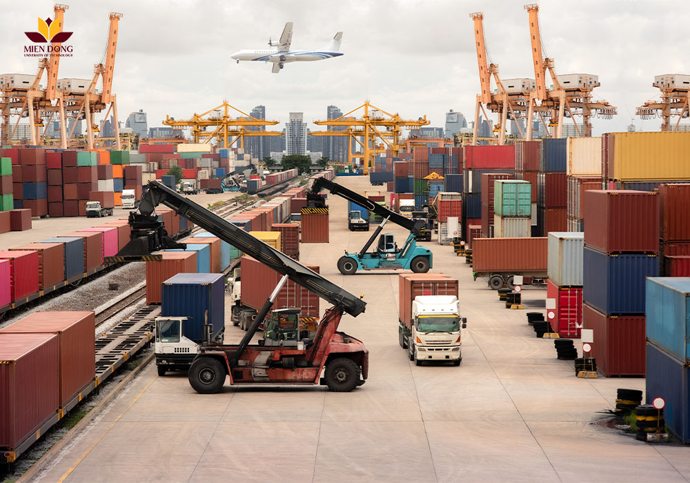 Logistics và quản lý chuỗi cung ứng làm nghề gì sau khi ra trường