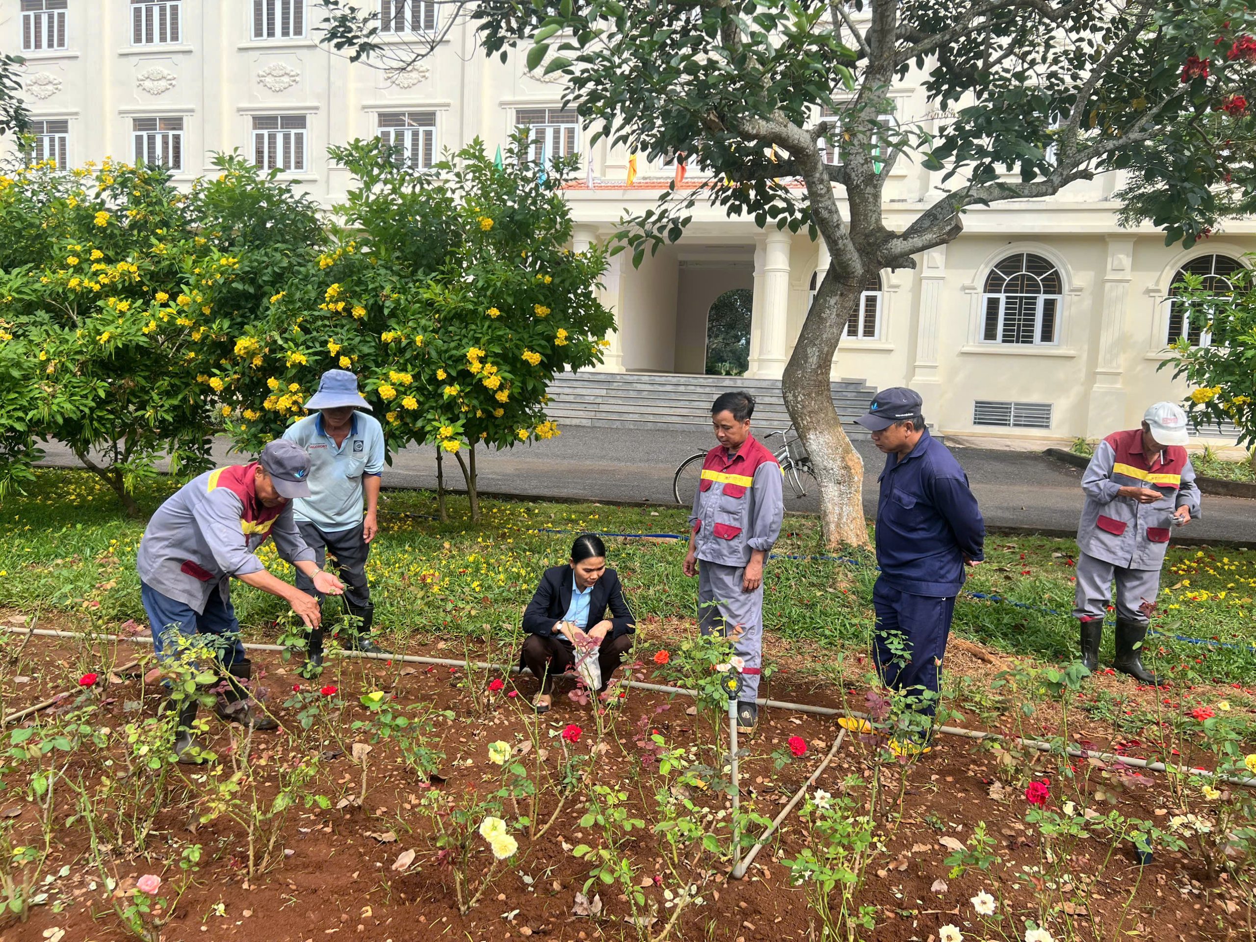 MIT Uni. – Không gian xanh lý tưởng cho học tập và làm việc