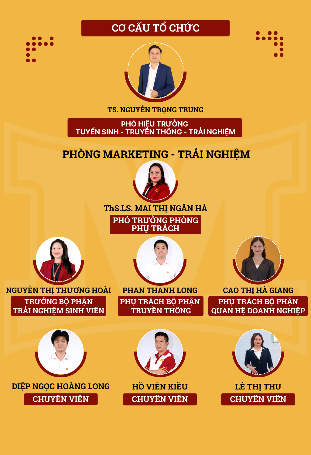 Cơ cấu tổ chức