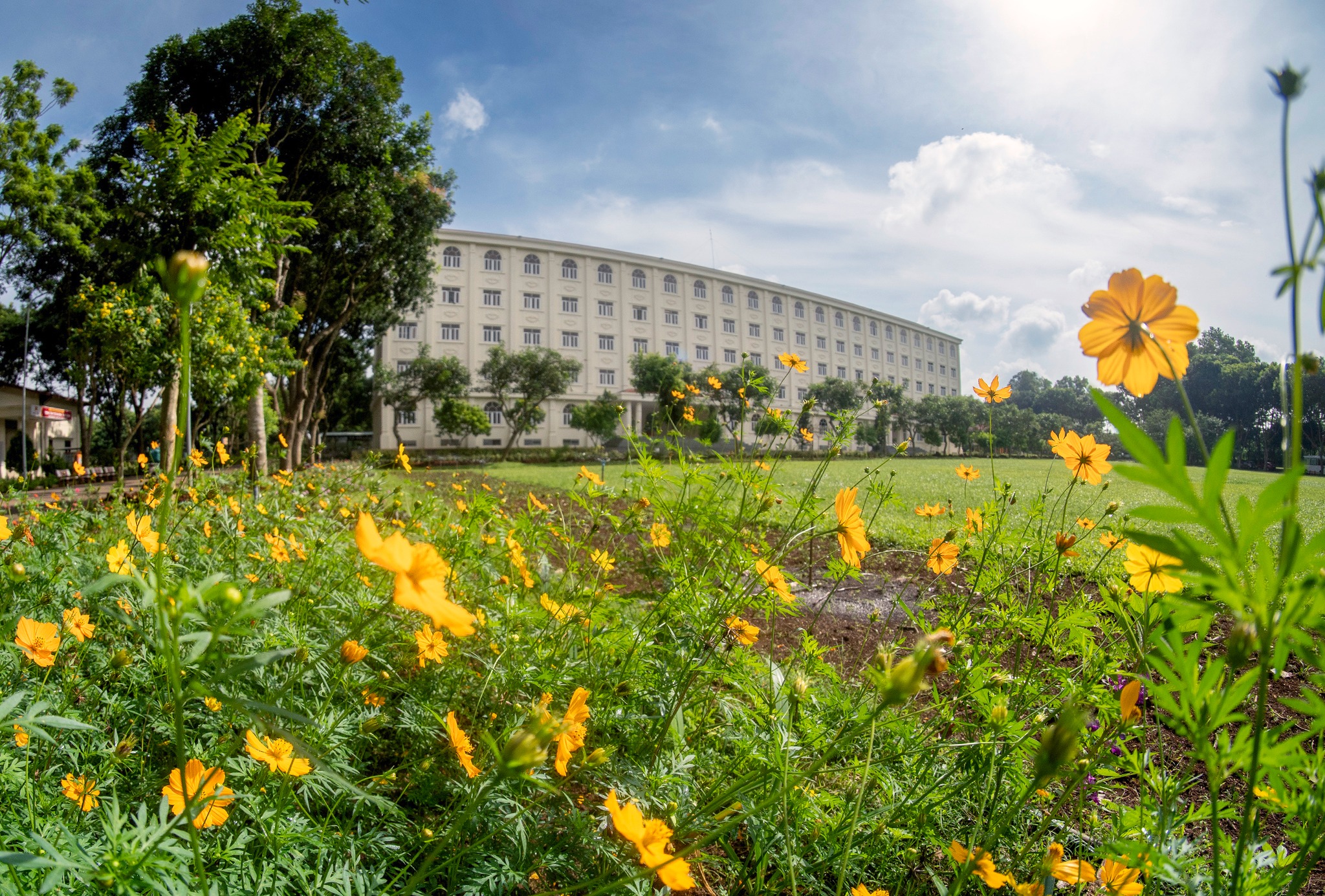 Đến MIT Uni. – Chạm vào những khoảnh xanh