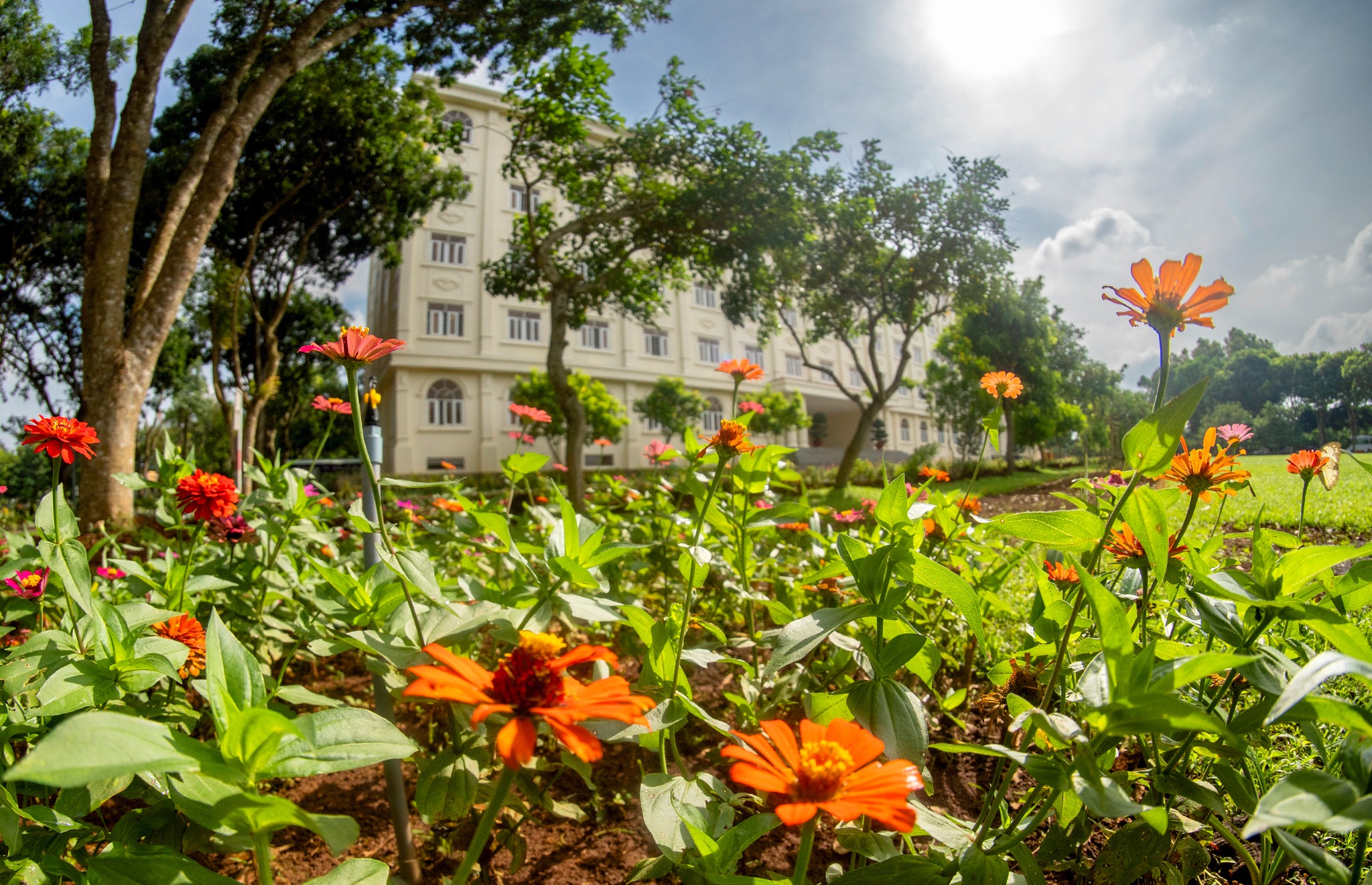 Đến MIT Uni. – Chạm vào những khoảnh xanh