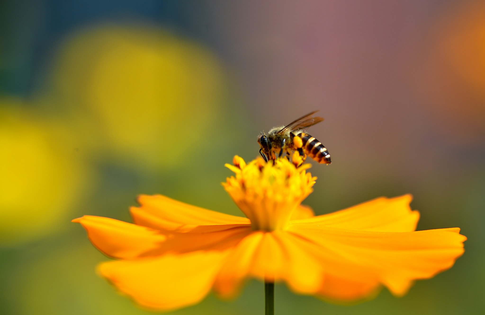 Đến MIT Uni. – Chạm vào những khoảnh xanh