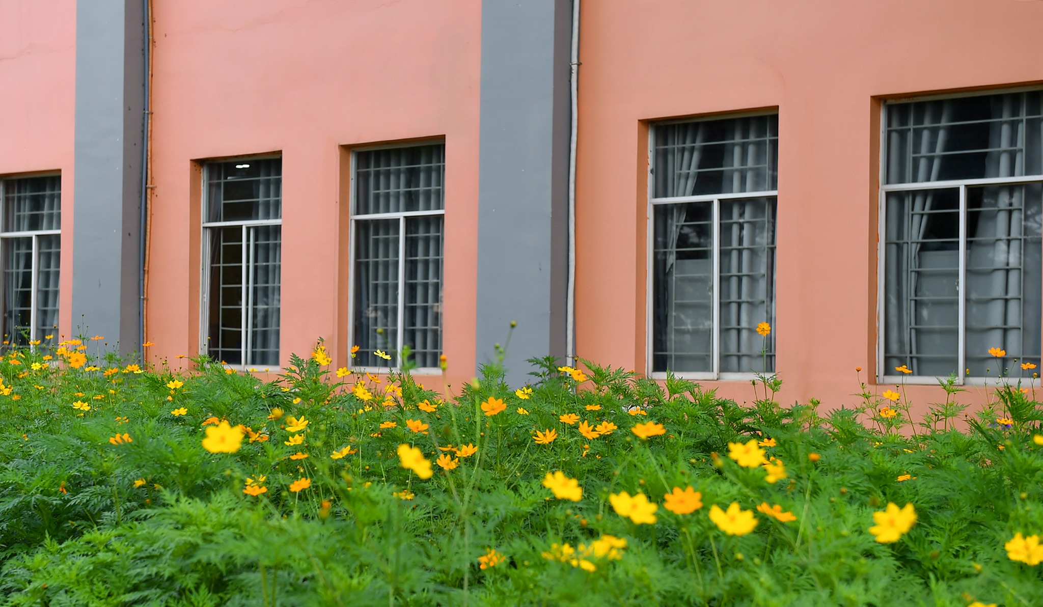 Đến MIT Uni. – Chạm vào những khoảnh xanh