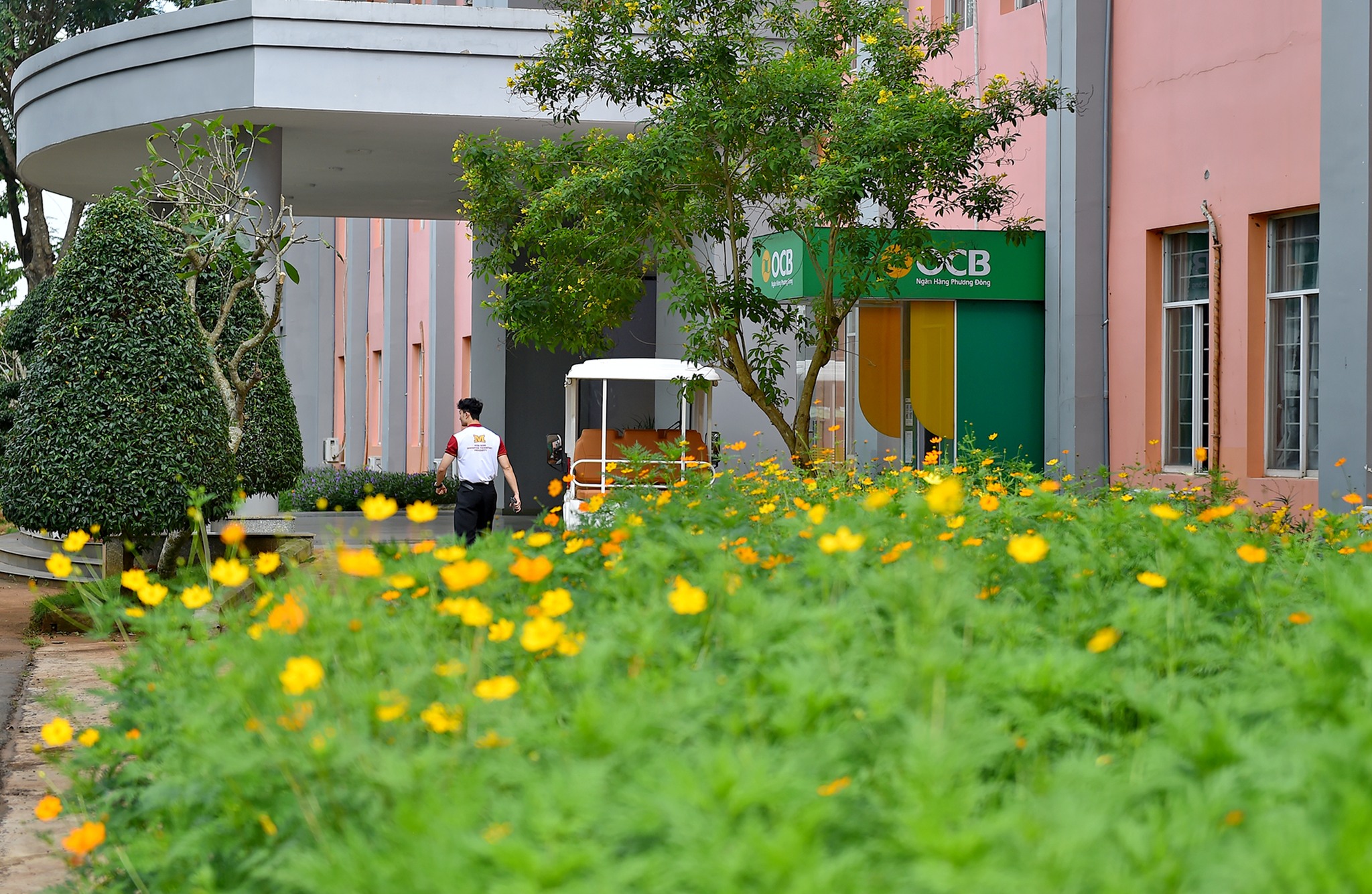 Đến MIT Uni. – Chạm vào những khoảnh xanh