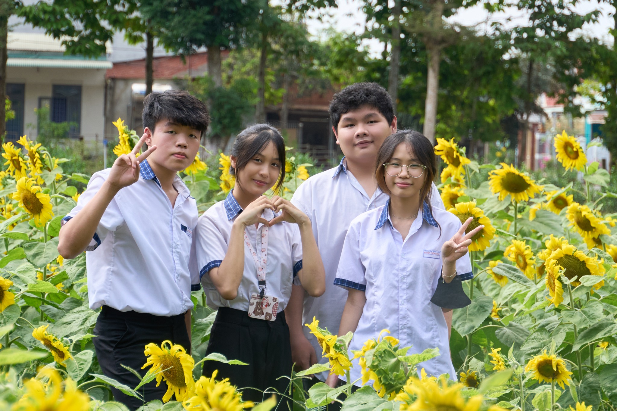  Bạn đã ghé MIT Uni. Sunflower Tour chưa? Vườn hoa hướng dương đã nở rộ rồi đấy!!