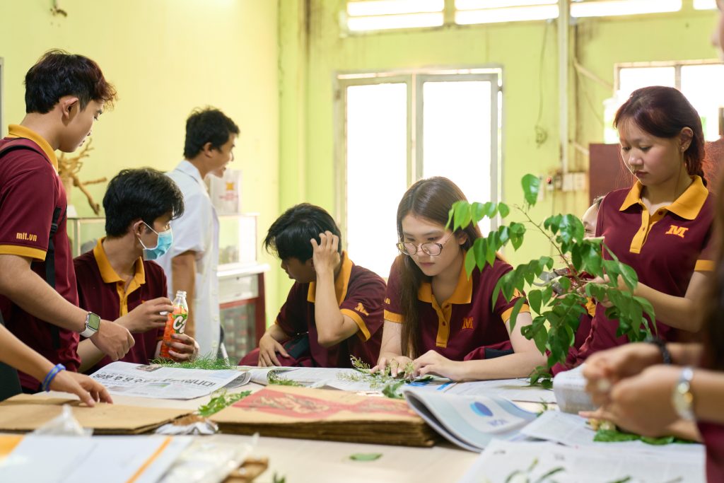Từ giảng đường đến Vườn dược liệu xanh - Cùng sinh viên K25 ngành Dược học MIT Uni. khám phá thế giới Dược liệu thực tế 2 Từ giảng đường đến Vườn dược liệu xanh - Cùng sinh viên K25 ngành Dược học MIT Uni. khám phá thế giới Dược liệu thực tế